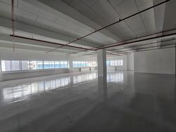 Perfect One (D13), Warehouse #555022431